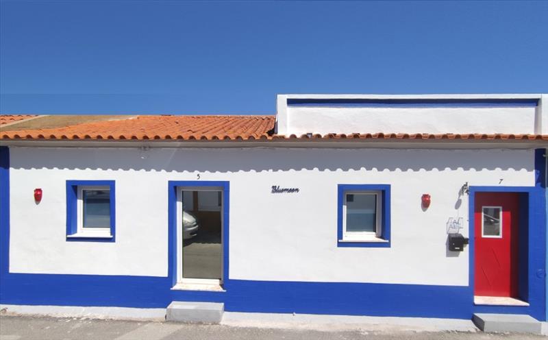 Português, Espanhol e Inglês