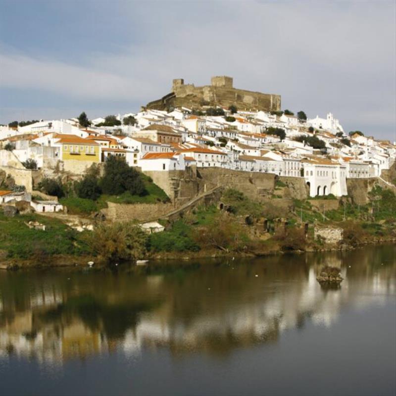 Português, Espanhol e Inglês
